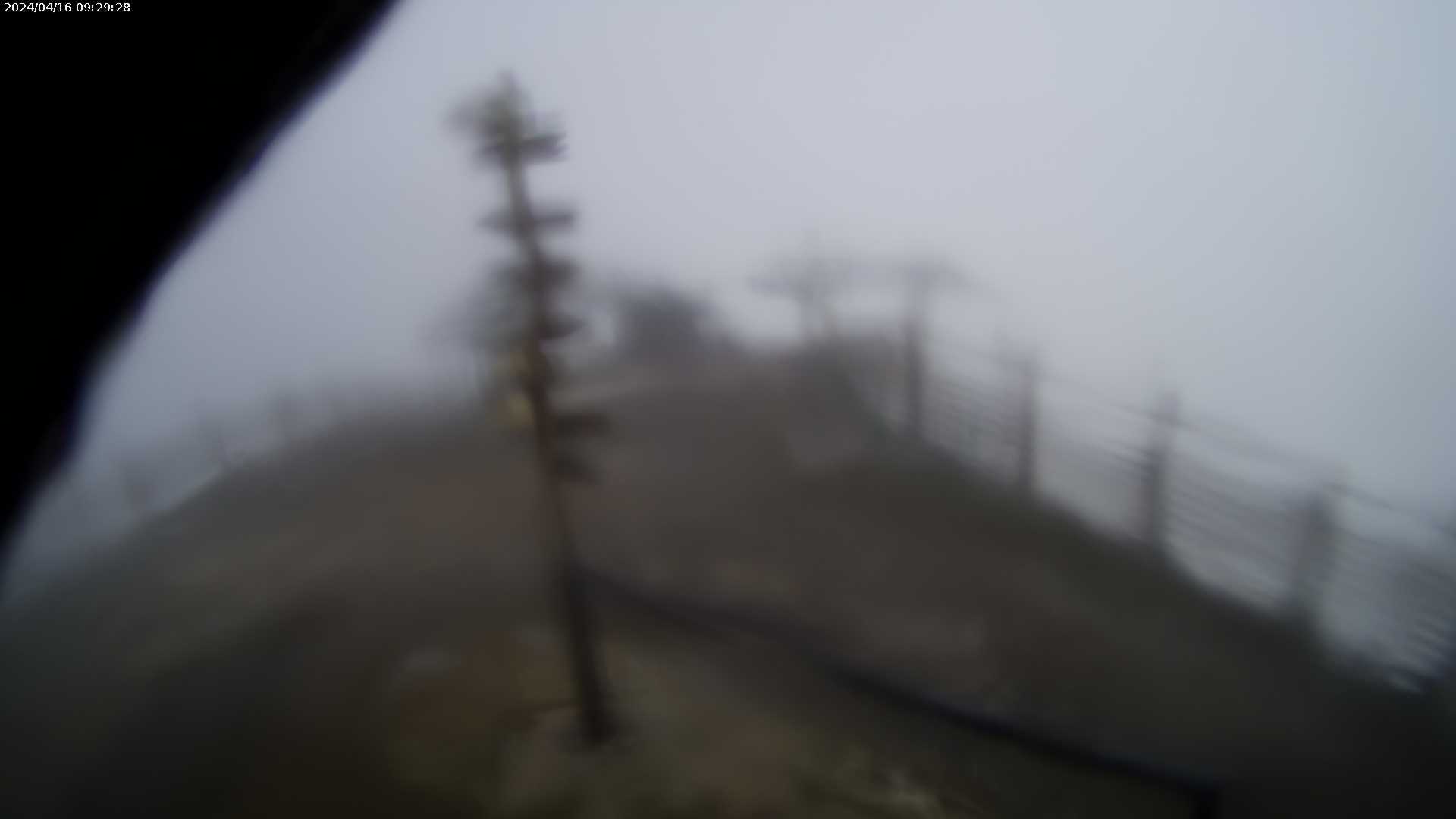 Candanchu webcam - Tobazo ski slope, bottom ski station