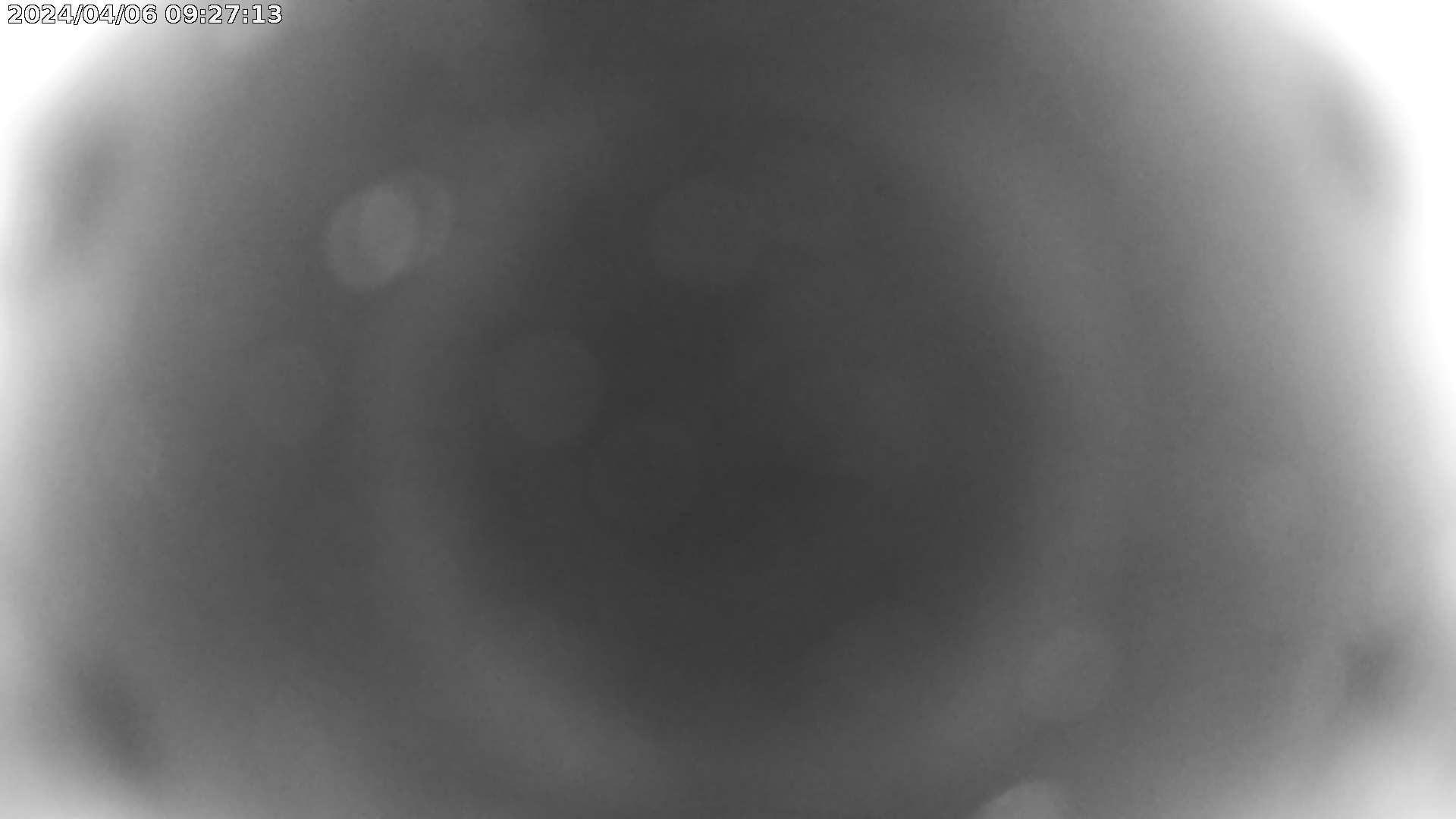 Webcam dans Pista Grande
